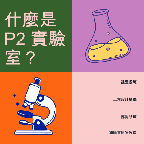 P2 實驗室規範與設備配置全解析